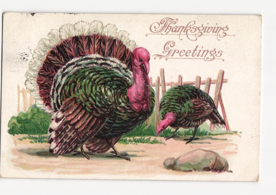 Early 20th Century Thanksgiving Greetings postcard, two turkeys in a farmyard setting, 1908. (1 of 2)