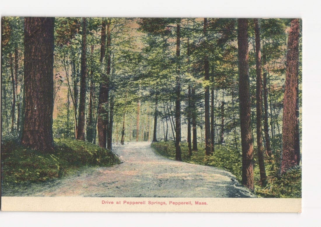 Forest drive at Pepperell Springs, Pepperell, Mass. early 20th century chromolithograph postcard: A winding pathway through a dense forest with tall trees on both sides. The path, light in color, curves towards the left and recedes into the background. The trees have textured bark, and lush green 