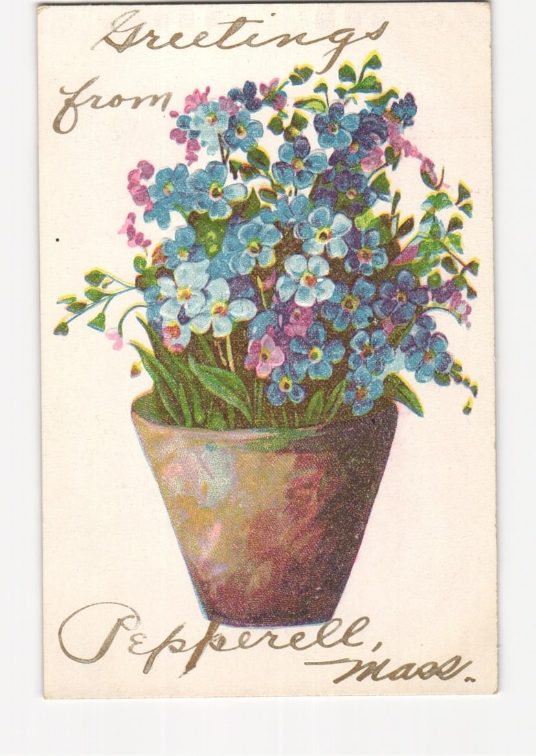 Potted Blue Flowers Greetings Postcard from Pepperell, Mass. - Chromolithograph Art (1 of 2)