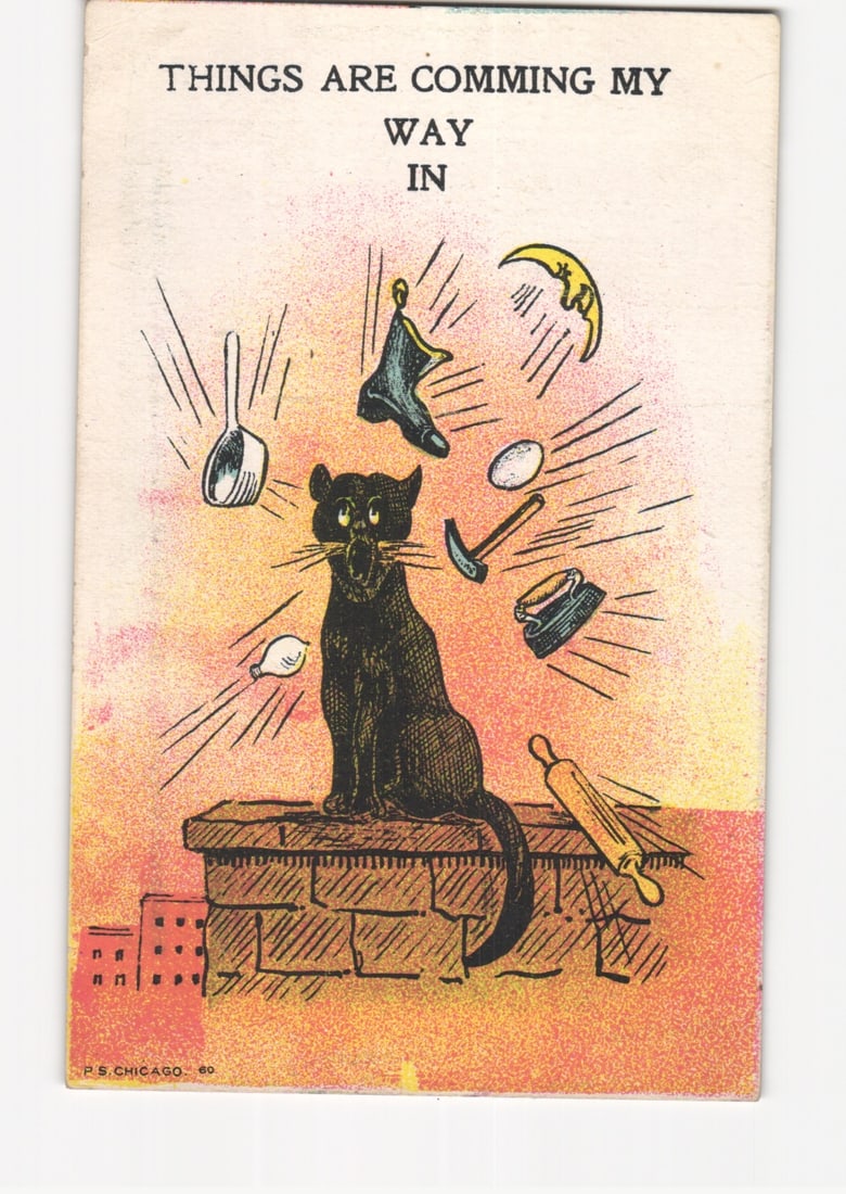 Early 20th Century 'Things Are Comming My Way In' Black Cat Humorous Illustrated Postcard, Chicago (1 of 2)