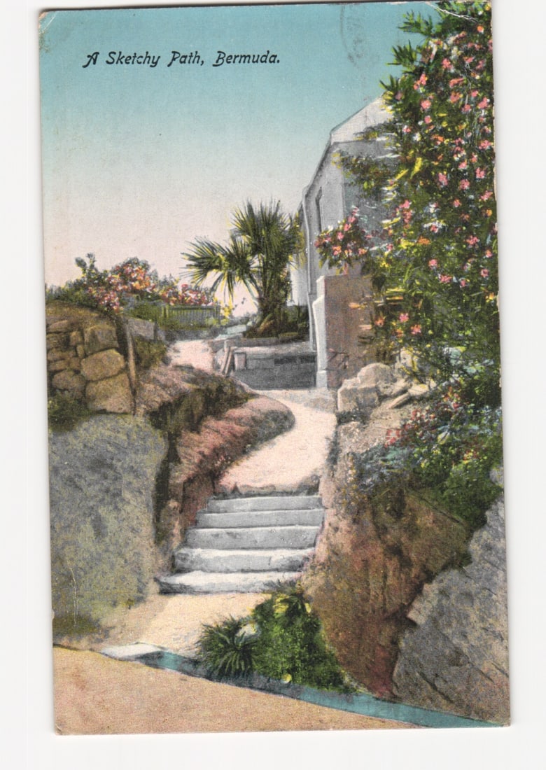 A Sketchy Path, Bermuda, with Steps and Lush Vegetation, Early 20th Century Postcard.: A winding path with stone steps ascends a hillside in Bermuda, flanked by rocky embankments and dense green foliage. Flowering plants with pink and red blossoms are visible, alongside a slender palm t