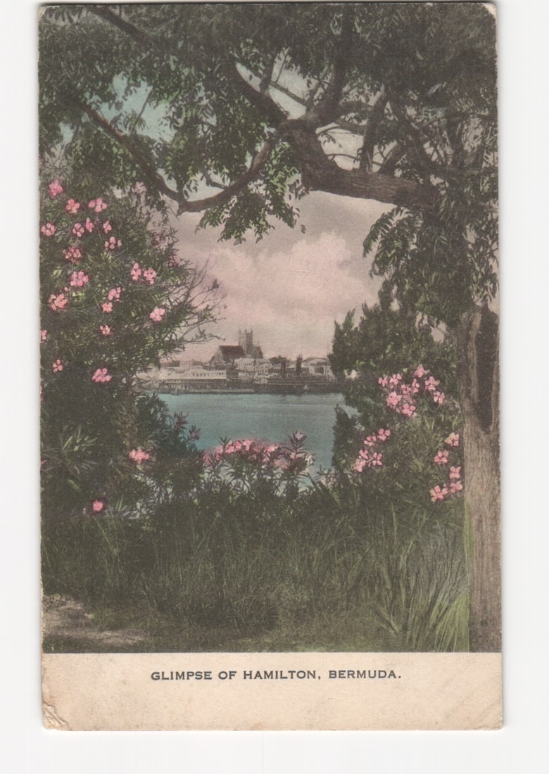 Scenic Glimpse of Hamilton, Bermuda through flowering trees, early 20th-century photochrom postcard.: A scenic view of Hamilton, Bermuda, presented through a natural frame of lush foreground foliage, including trees with pink blossoms. The composition offers a glimpse across a body of water to the tow