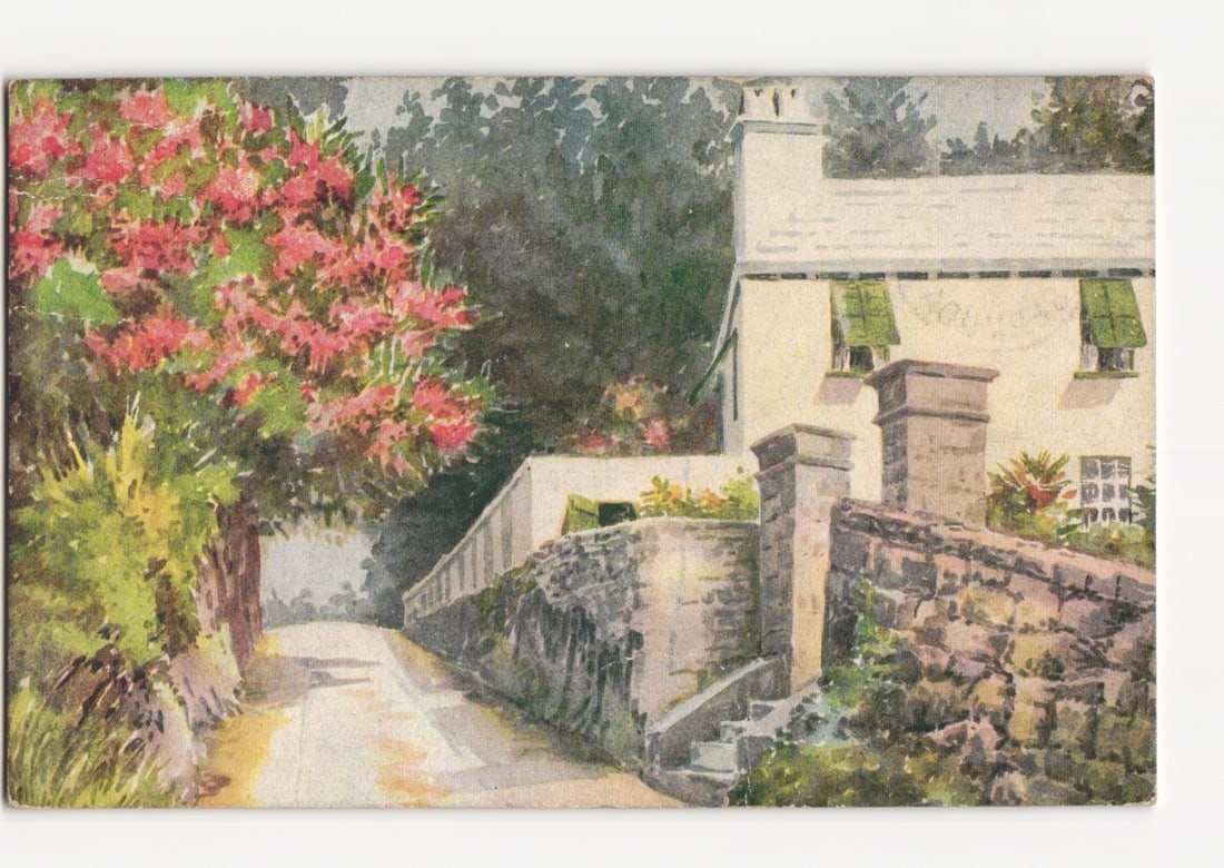 Scenic Bermuda street view with flowering bush and cottage, by C. F. Tucker, early 1900s postcard.: A winding unpaved road leads into the distance, bordered on the left by a large, lush bush with abundant pink blossoms and green leaves. On the right, a light-colored cottage or house with a white chi