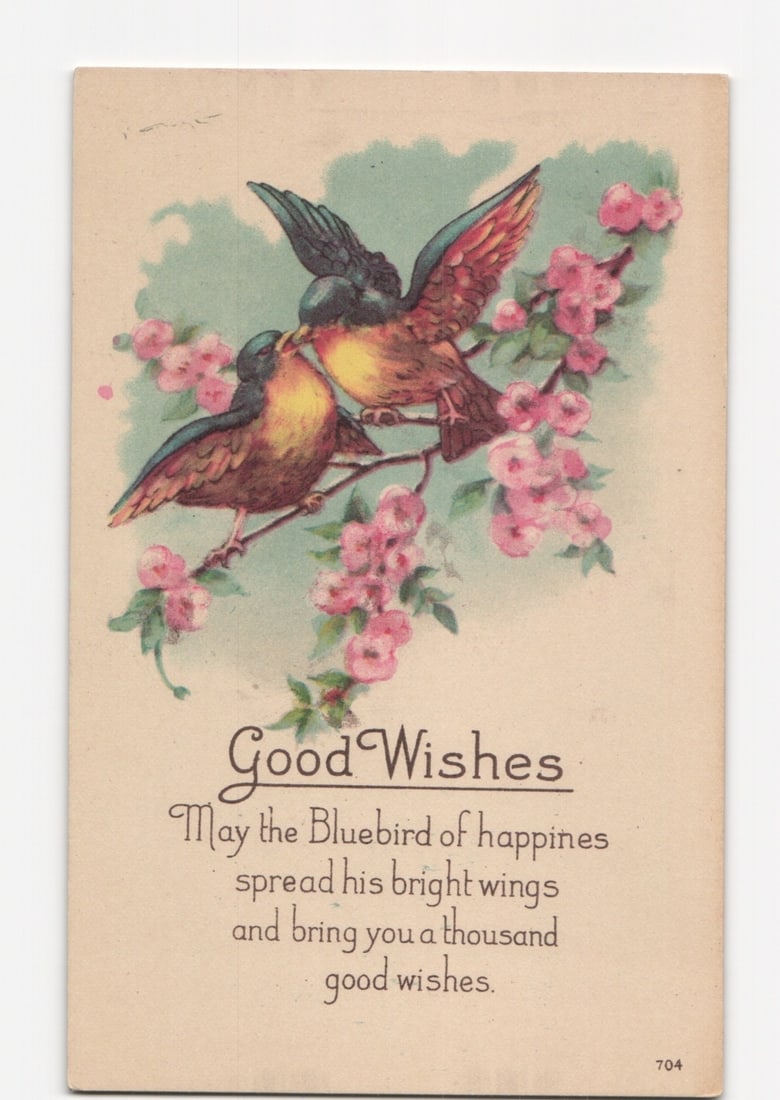 Early 20th Century Chromolithograph Postcard featuring Two Bluebirds and Pink Blossoms: Two birds, possibly bluebirds, are perched on a blossoming branch, set against a light blue-green atmospheric background. The bird on the right, with opened wings displaying blue-green and reddish-ora
