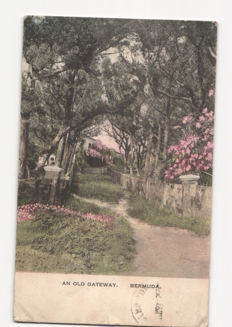 Scenic View of 'An Old Gateway' in Bermuda, Hand-Colored Landscape Postcard, Early 20th Century: A hand-colored landscape postcard depicting a winding dirt path leading through an archway formed by dense, arching trees. Stone pillars and walls border the path on both sides, with clusters of pink 
