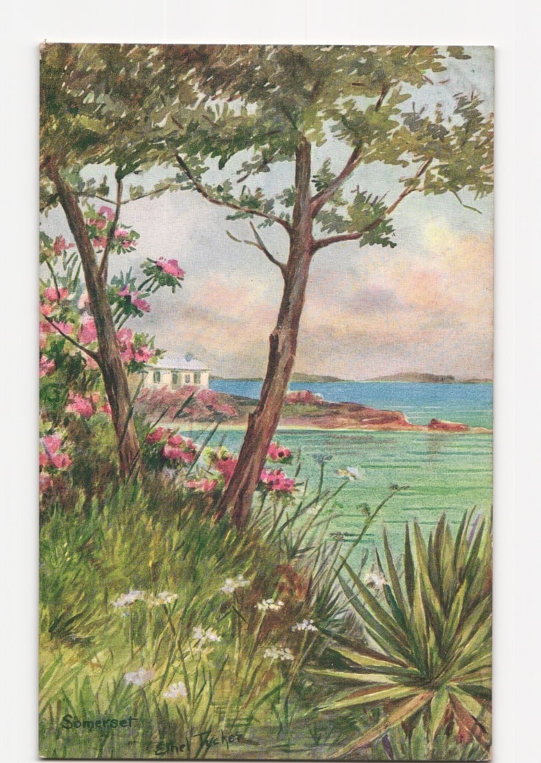Scenic watercolor-style postcard of Somerset, Bermuda, featuring a coastal house and flowering: A picturesque coastal landscape is depicted, rendered in a chromolithograph style resembling a watercolor painting. In the foreground, vibrant green grasses are prominent, interspersed with white wild