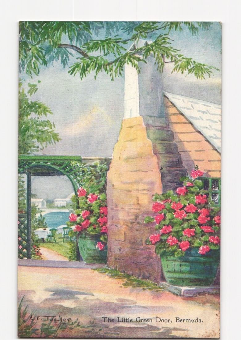 Architectural chromolithograph postcard: 'The Little Green Door,' Bermuda, with flowering plants.: An illustrated view of a Bermuda cottage featuring a prominent, pale-colored chimney. Two large pots of red-pink flowering plants, likely geraniums, flank the chimney base. A path leads from the foreg