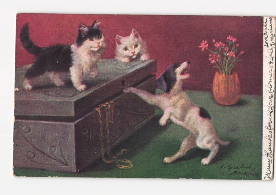 Playful Cats and Dog Illustrated Postcard with Open Treasure Chest and Jewelry, Early 20th Century: An illustration depicts two cats and a dog with an open treasure chest. A black and white cat and a white kitten are on the closed lid of the chest. A white dog with black markings stands on its hind 