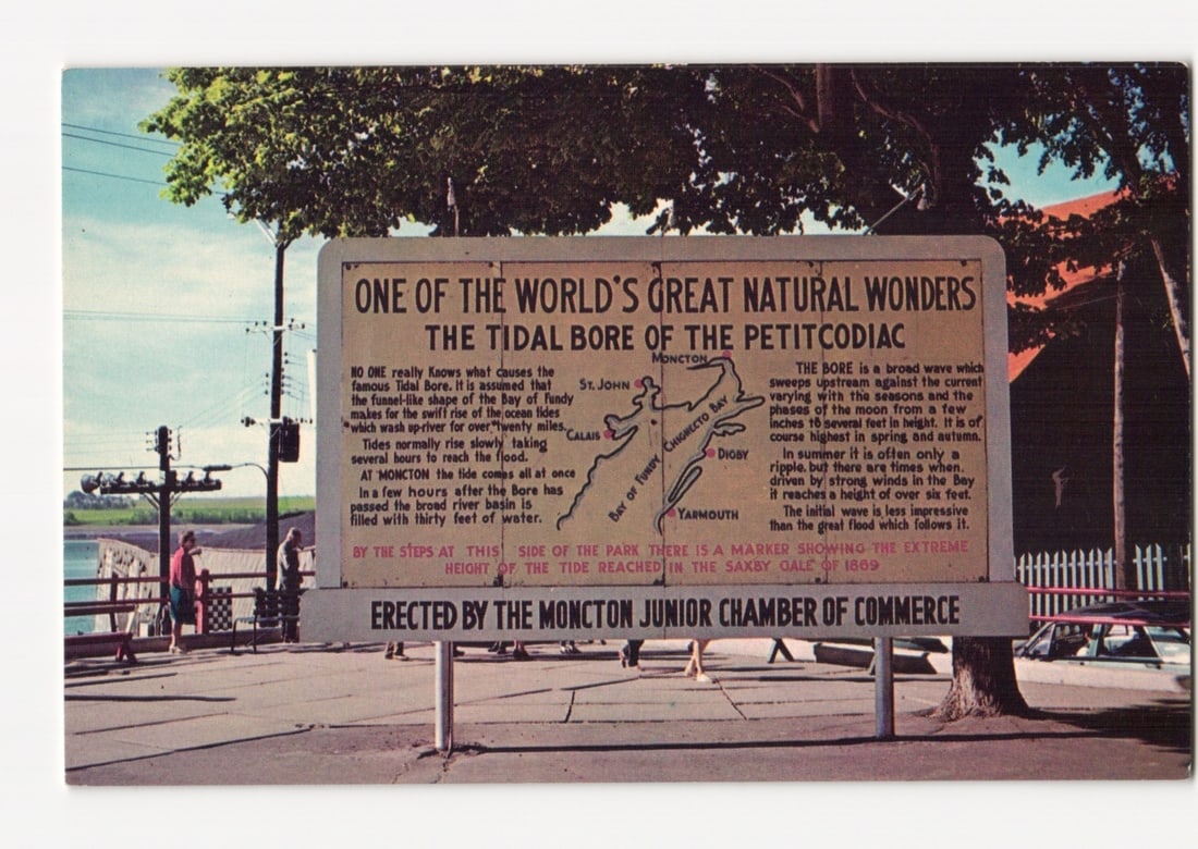 Informational Sign for The Tidal Bore of the Petitcodiac, Moncton, New Brunswick, Canada postcard. (1 of 2)