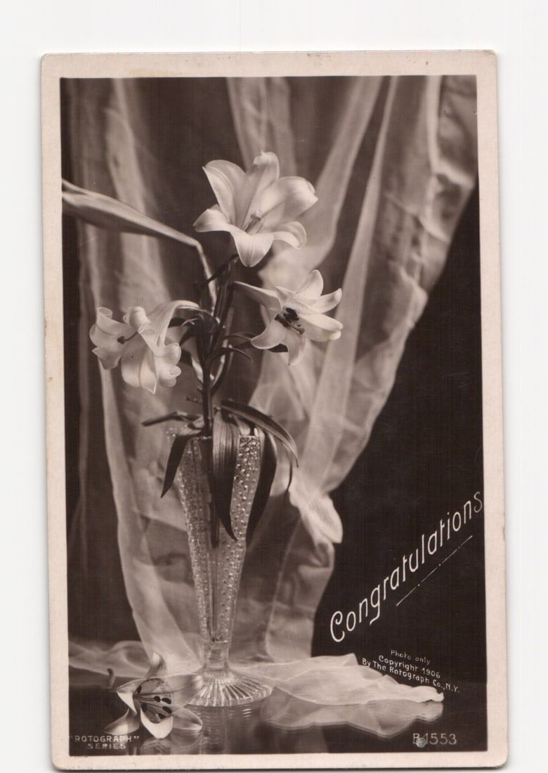 1906 Sepia Real Photo Postcard featuring Lilies in a Crystal Vase, with 'Congratulations' text: A black and white real photograph depicts a floral still life featuring several blooming lilies arranged in a faceted crystal vase. The vase rests on a surface, likely a tabletop, with a soft, translu