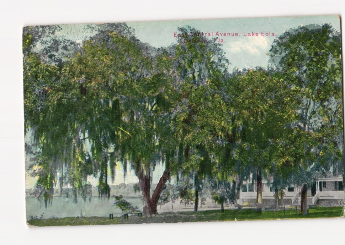 Florida Lakescape: East Central Avenue, Lake Eola, Orlando postcard with Mossy Trees: A scenic view dominated by large, mature trees featuring abundant hanging foliage, likely Spanish moss, providing a dense canopy. The trees line a body of water identified as Lake Eola, with the stree