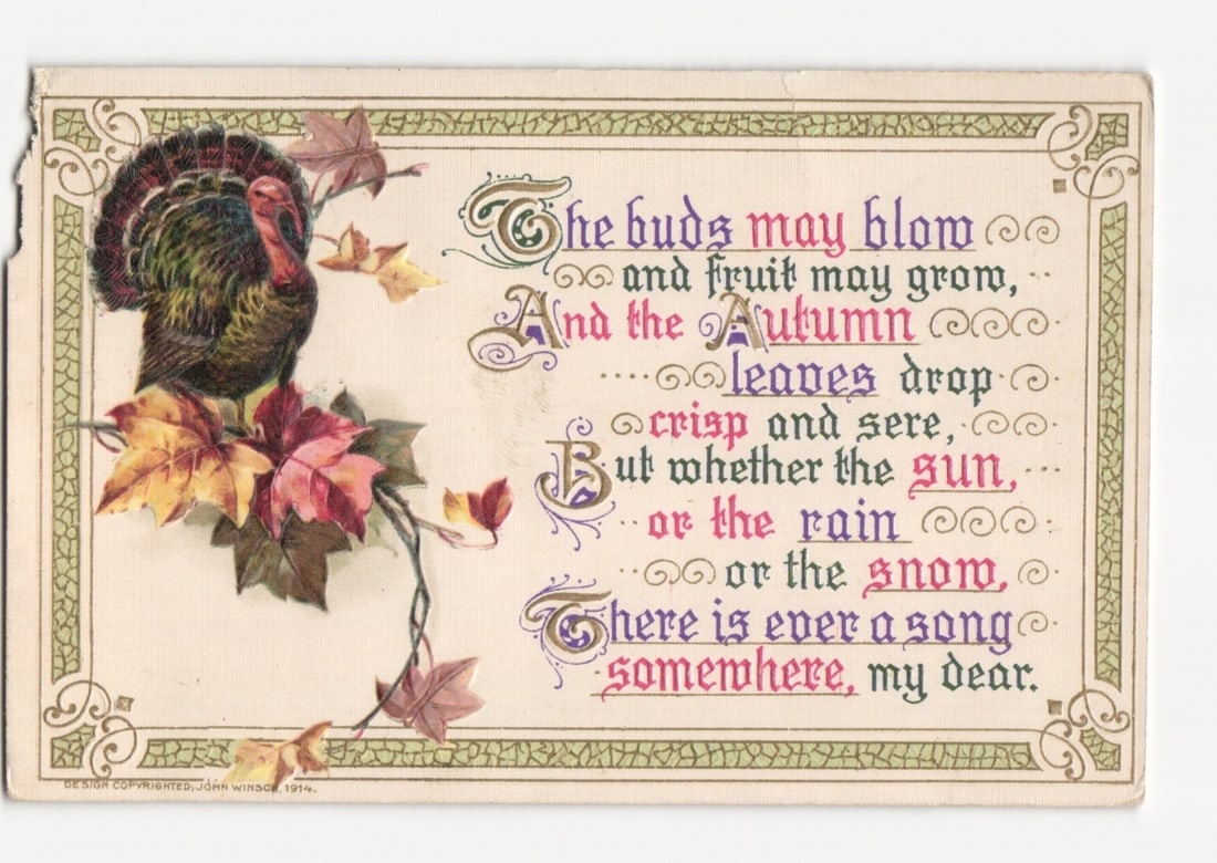 Early 20th Century Illustrated Postcard of Turkey, Autumn Foliage, and Poetic Verse, 1914: A chromolithograph postcard featuring an autumnal design with a turkey in profile on the left, displaying rich brown, green, and red plumage, surrounded by clusters of red, orange, and yellow autumn l