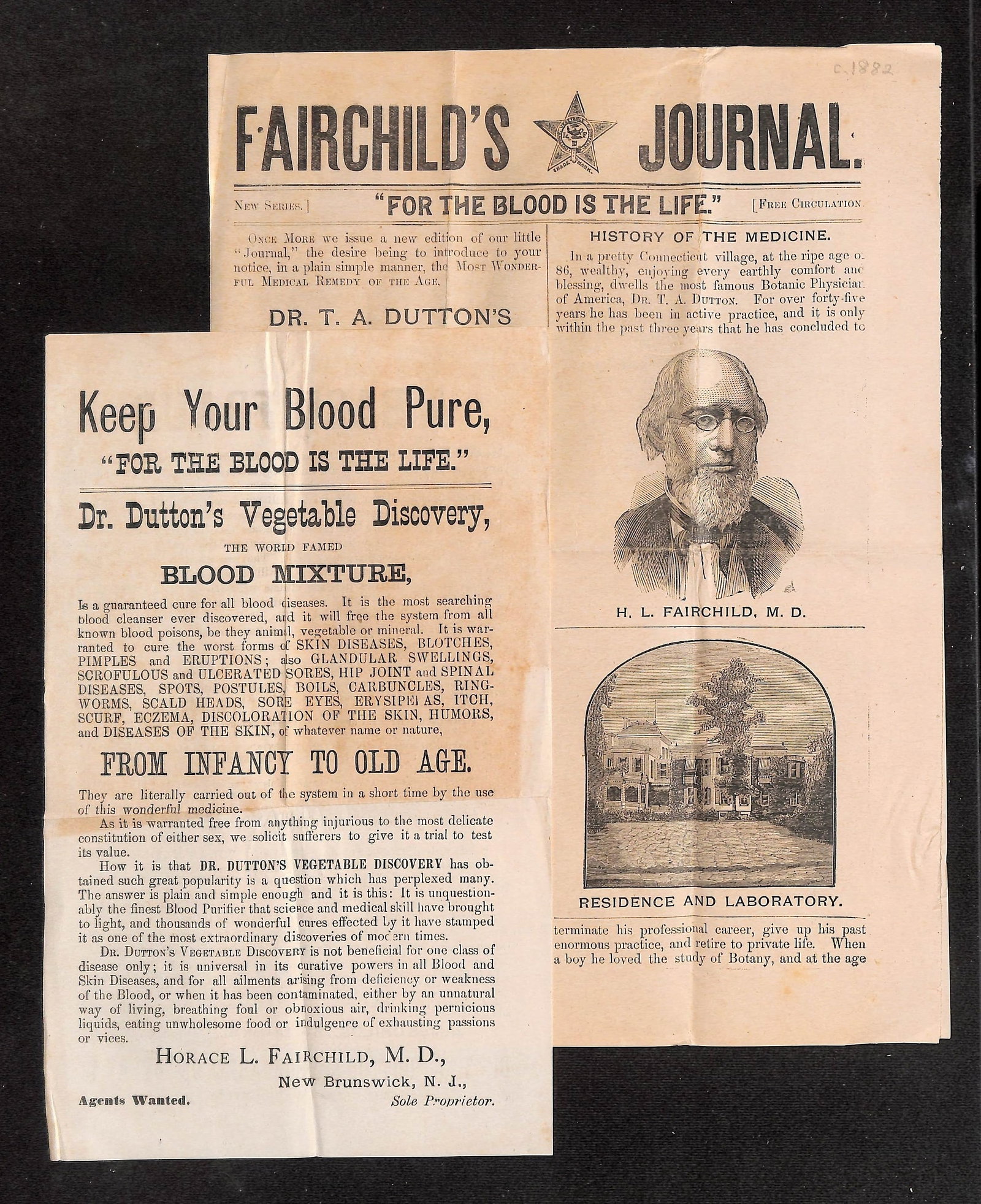 Fairchild's Journal & Dr. Dutton's Vegetable Discovery Ads, New Brunswick, Canton, 1882 (1 of 6)