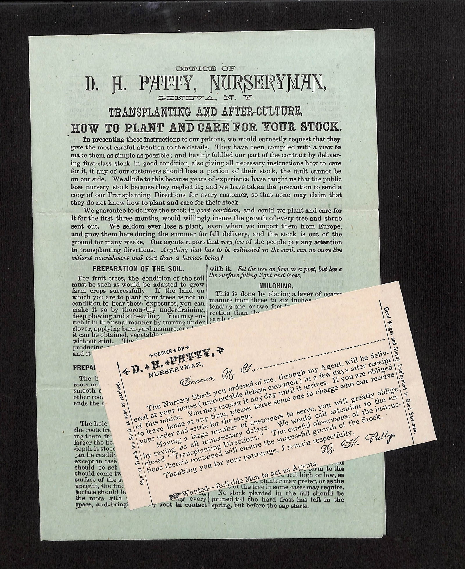 D. H. Patty Nurseryman: Planting Guide Document & Agent Notice, Geneva, NY and Geneva, OH (1 of 4)