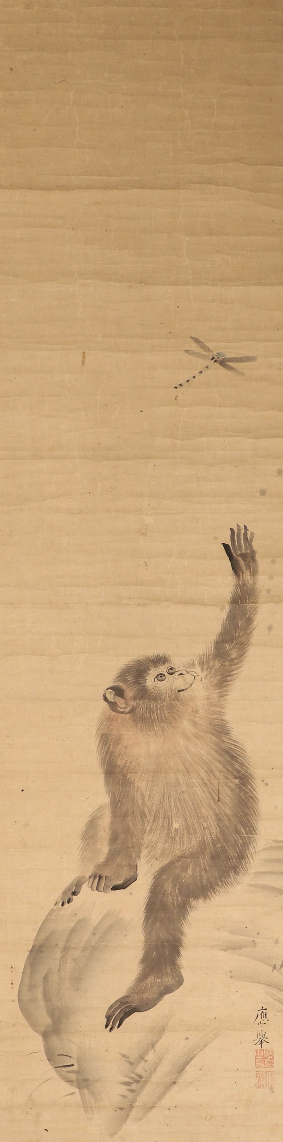 Qing Dynasty, signature on paper scroll with ape and dragonfly (applicable): Qing Dynasty, signature on paper scroll with ape and dragonfly (applicable)Height: 110.5cm, width: 28.2cm