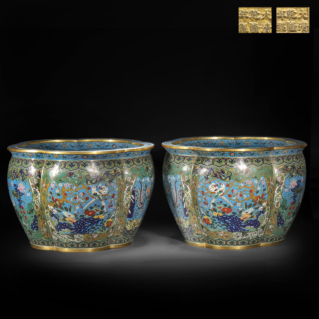 A pair of cloisonné fish and grass tanks from the Qing Dynasty: A pair of cloisonné fish and grass tanks from the Qing DynastyH33.5cm W48cm