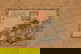 item-175773801=1