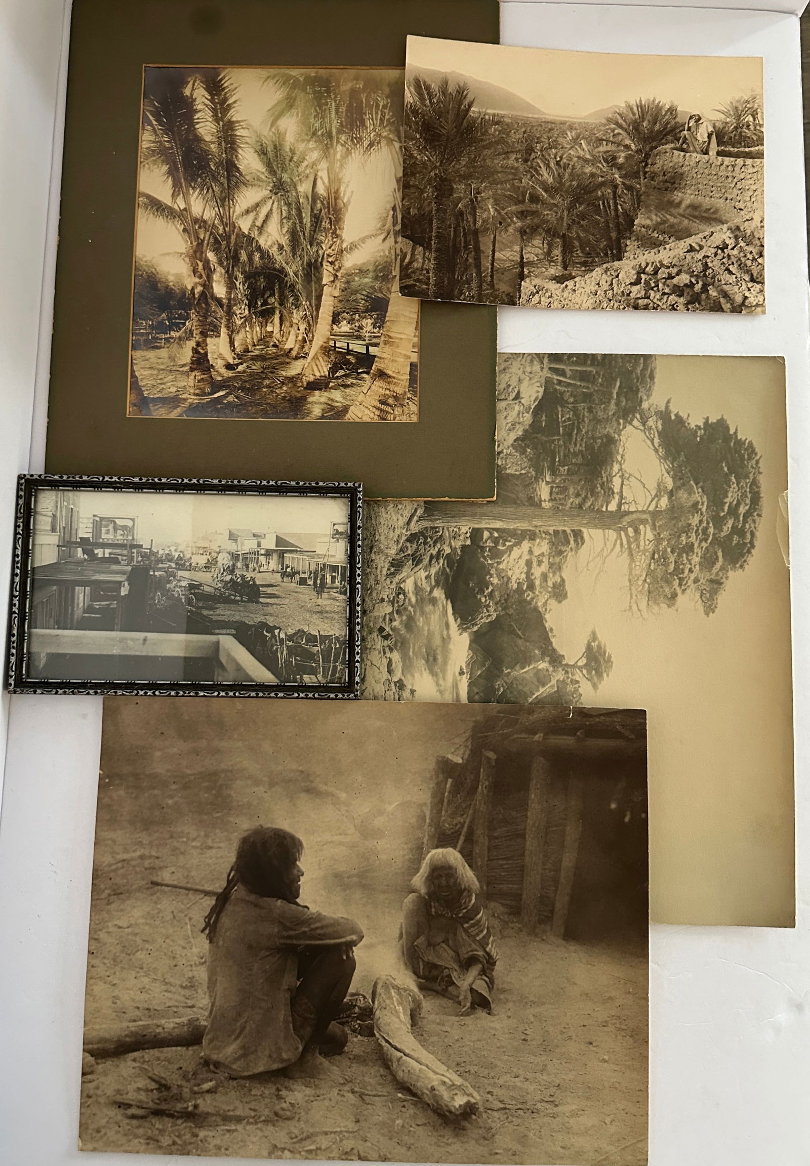 Lot of 5 Antique Large Format Photos including R. Prouho: This is for a Lot of 5 Antique Large Format Photos including photographer R. Prouho. Several interesting subjects including a tinted Tropical scene, Native Americans, Lone Tree Monterey, Algerian man