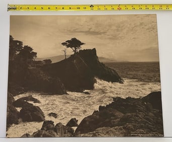 Large Antique Arthur Pillsbury Lone Cypress Monterey Pebble Beach Photo