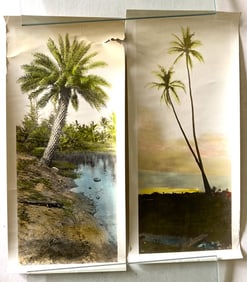 Original Hand Tinted Territory of Hawaii Scenery Photograph Picture Photo