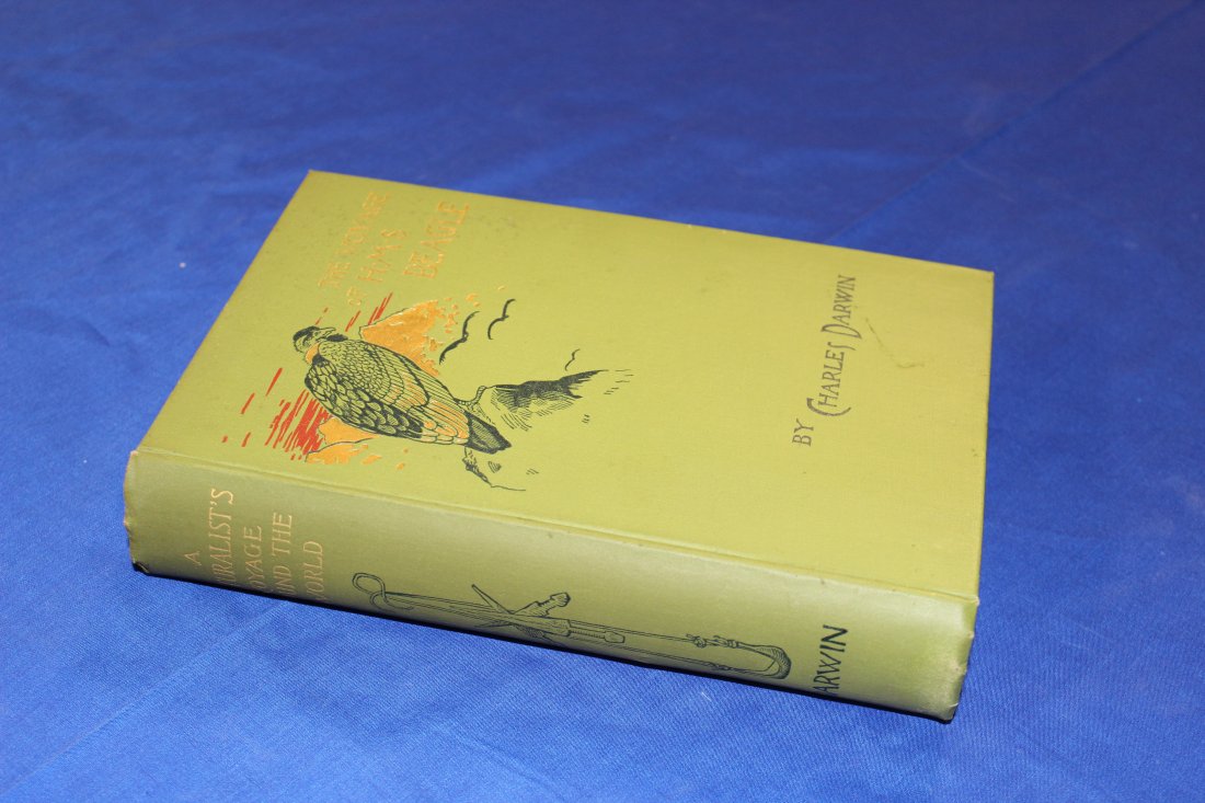 The Voyage of H.M.S. Beagle, Charles Darwin New York 1890 D.Appleton & co. 538 pages (1 of 2)
