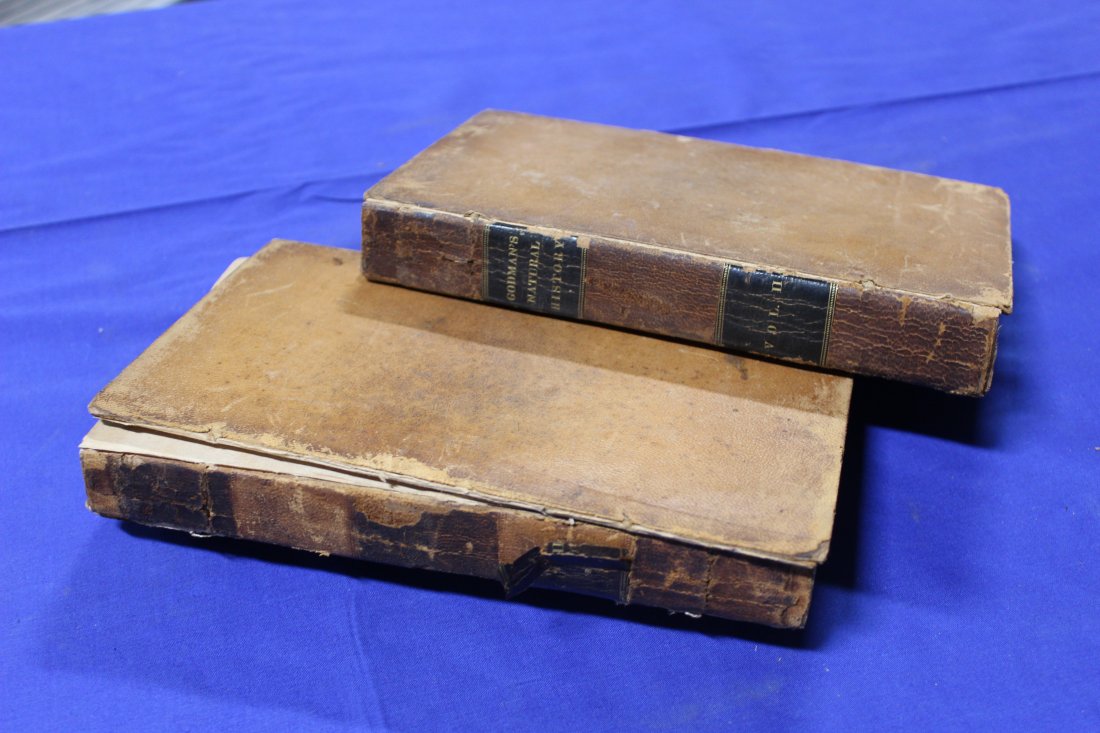 American Natural History, Vols. 1, 3.  Godman, John D. Philadelphia, 1828. Carey, Lea and Carey. (1 of 4)