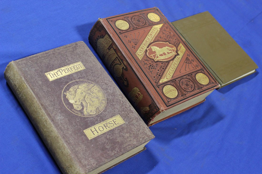 3 Books Horses, Murray, William H. H. 1873, S. D. and L. C. Bruce 1882, Gleason, Oscar R. 1901. (1 of 5)