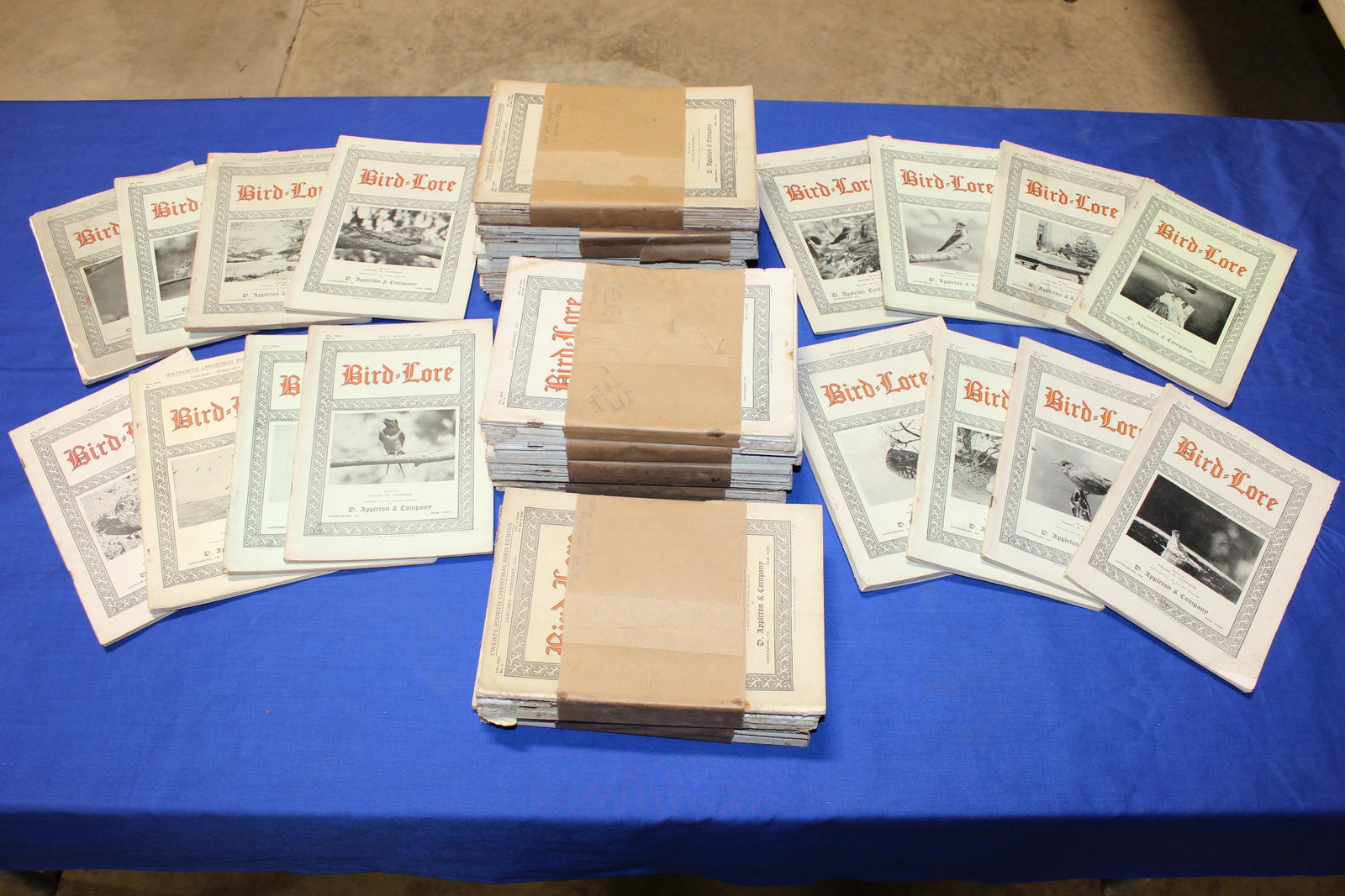 Bird Lore Periodicals 1920’s, 30’s. Chapman, Frank M., D. Appleton and Co. PA, NY.: Complete Vols. 27, 24, 33, 26, 34, Incomplete 30, 24, 31, 35, 22, 18, 32, 25, 28, 23. Decent conditions overall.
