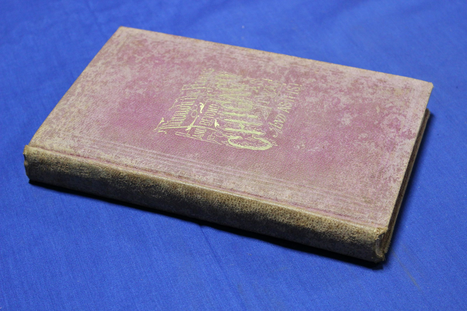 Through the Flames and Beyond Luzerne,Frank New York, 1872 Wells and Company: 316 page hardcover gilt on front worn gilt on spine. Spine is intact fading around the edges B&W illustrations throughout pages in good shape