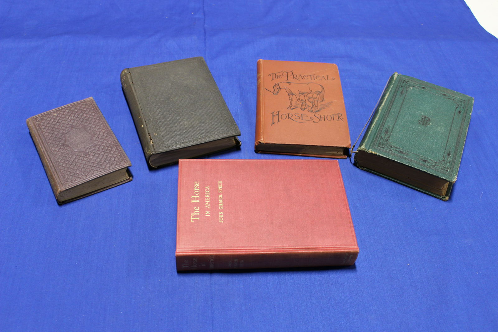 Lot of 5:  Horses (1 of 13)