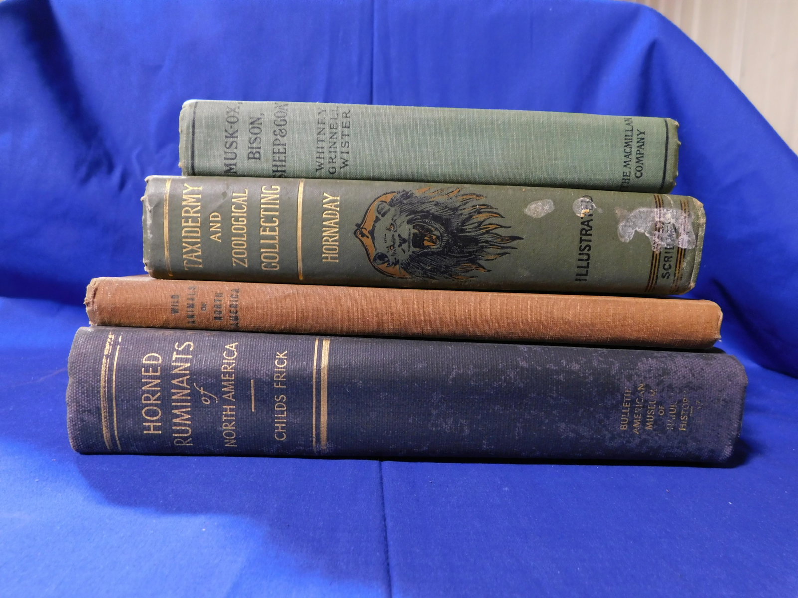Lot of 4: Taxidermy: Musk-Ox, Bison, Sheep and Goat, Whitney, Caspar and Others, New York, 1904, The MacMillan Co., 5.5” x 8”, 283 pgs. Very Good Cond. Taxidermy, Hornaday, William T., New York, 1902; Charles 