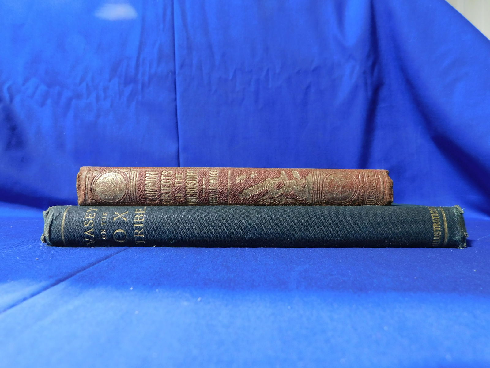 Lot of 2:  A Monograph of the Genus Bros., 1857. Common Objects of the Microscope, 1861. (1 of 4)