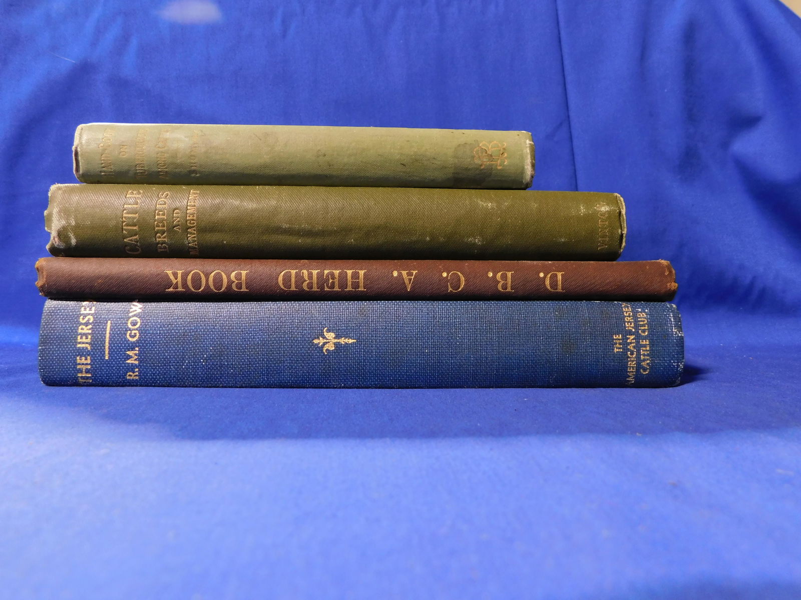 4 Books on Cattle (1 of 4)