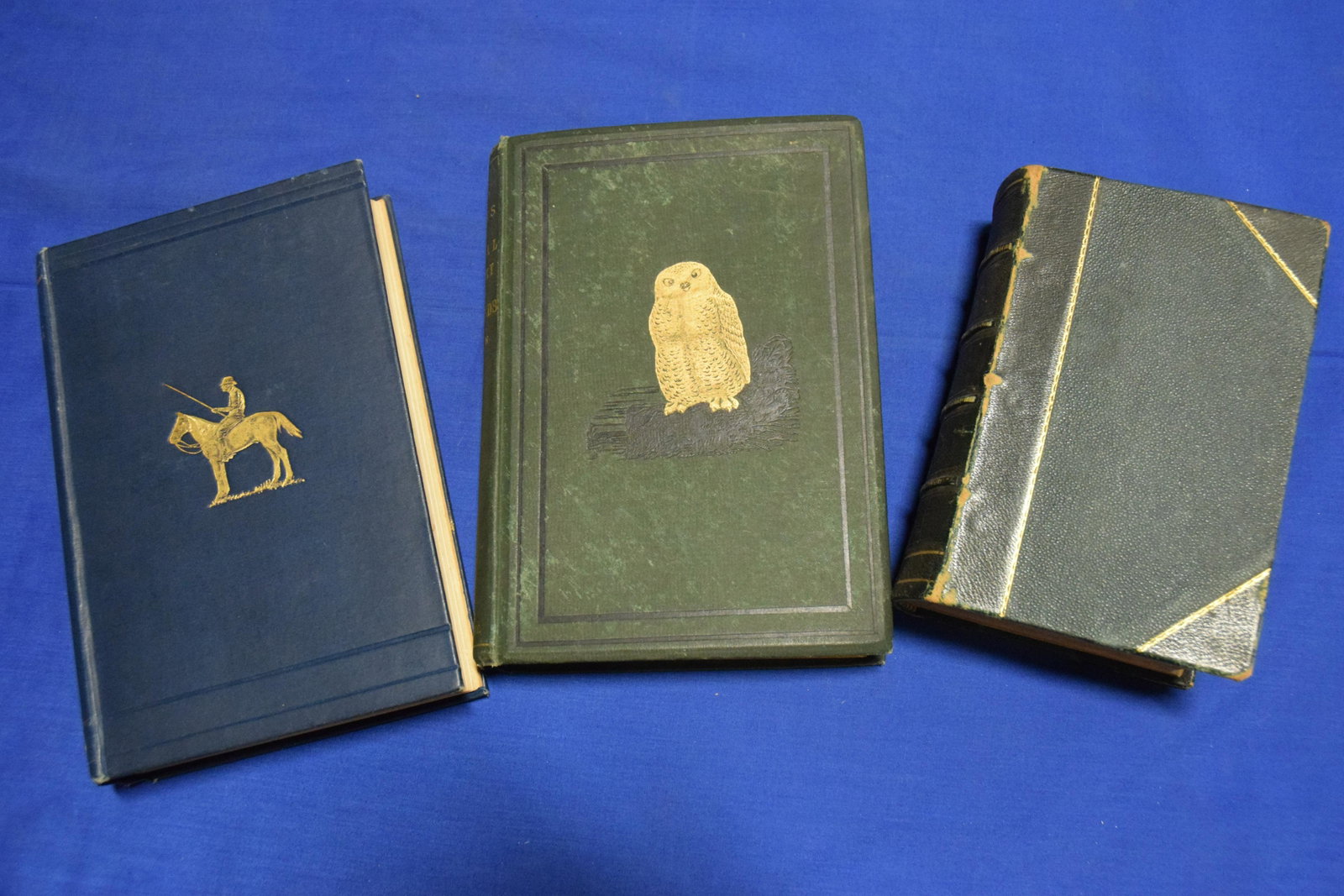 Lot of 3 Rural British Sports: British Rural Sports, Stonehenge, London, 1857, G. Routledge & Co., 720 pages, 3rd Edition, leather and board cover, ridged spine with gilt title and decoration in worn shape, some end page separation