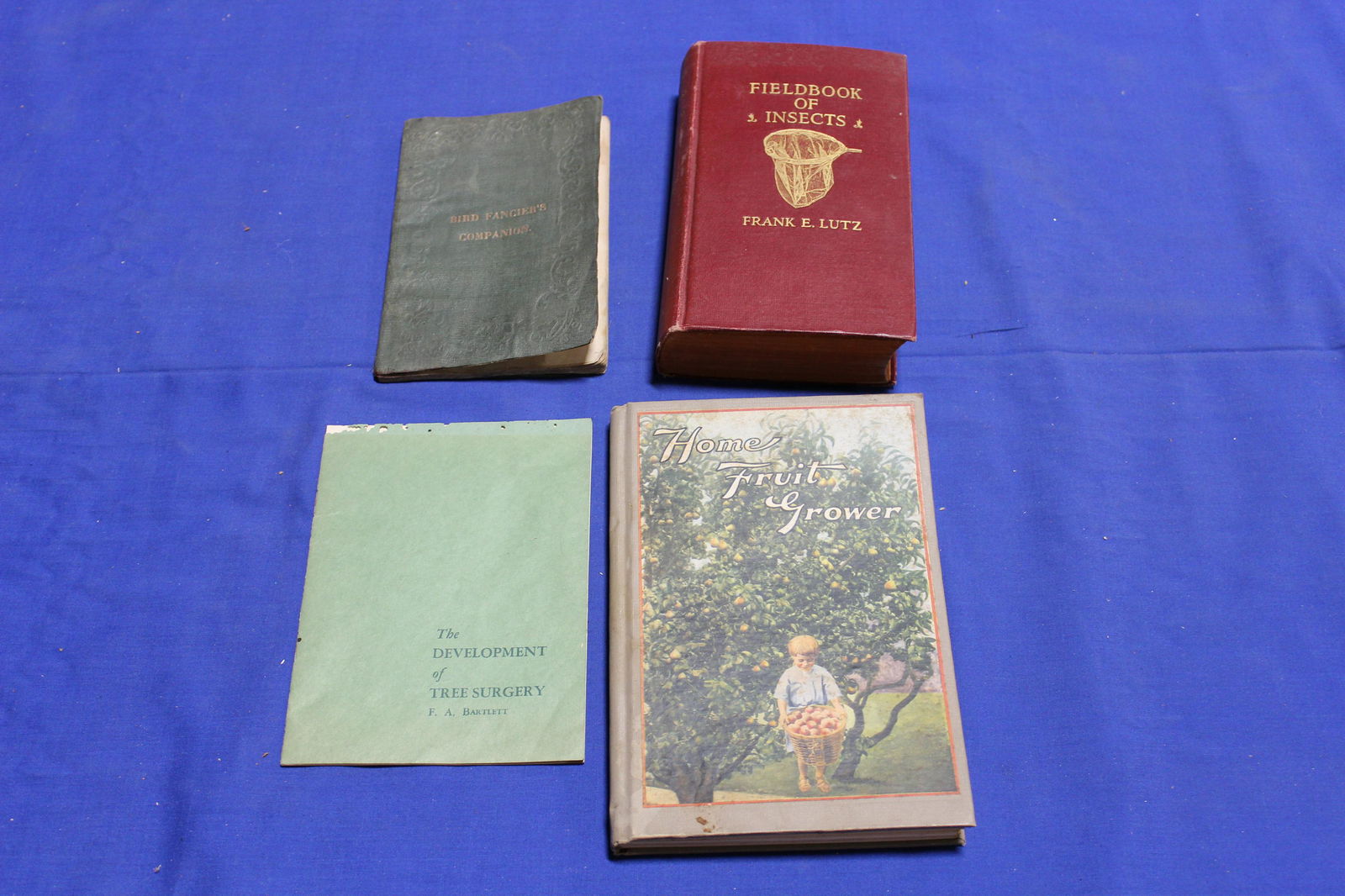 4 Nature, Animal Books (1 of 7)