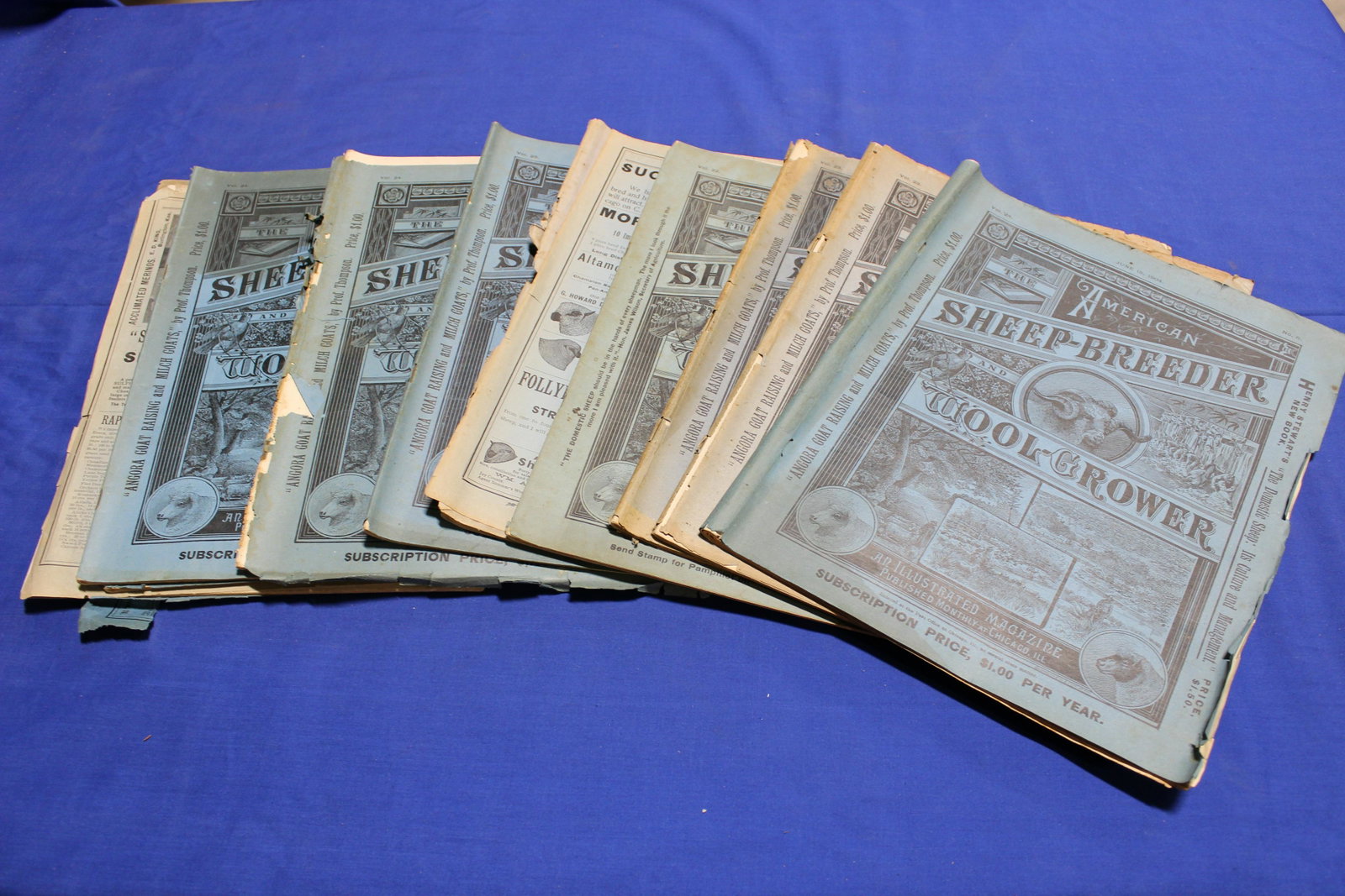 11 Volumes of The American Sheep-Breeder and Wool-Grower: 1902-04, covers in poor condition.