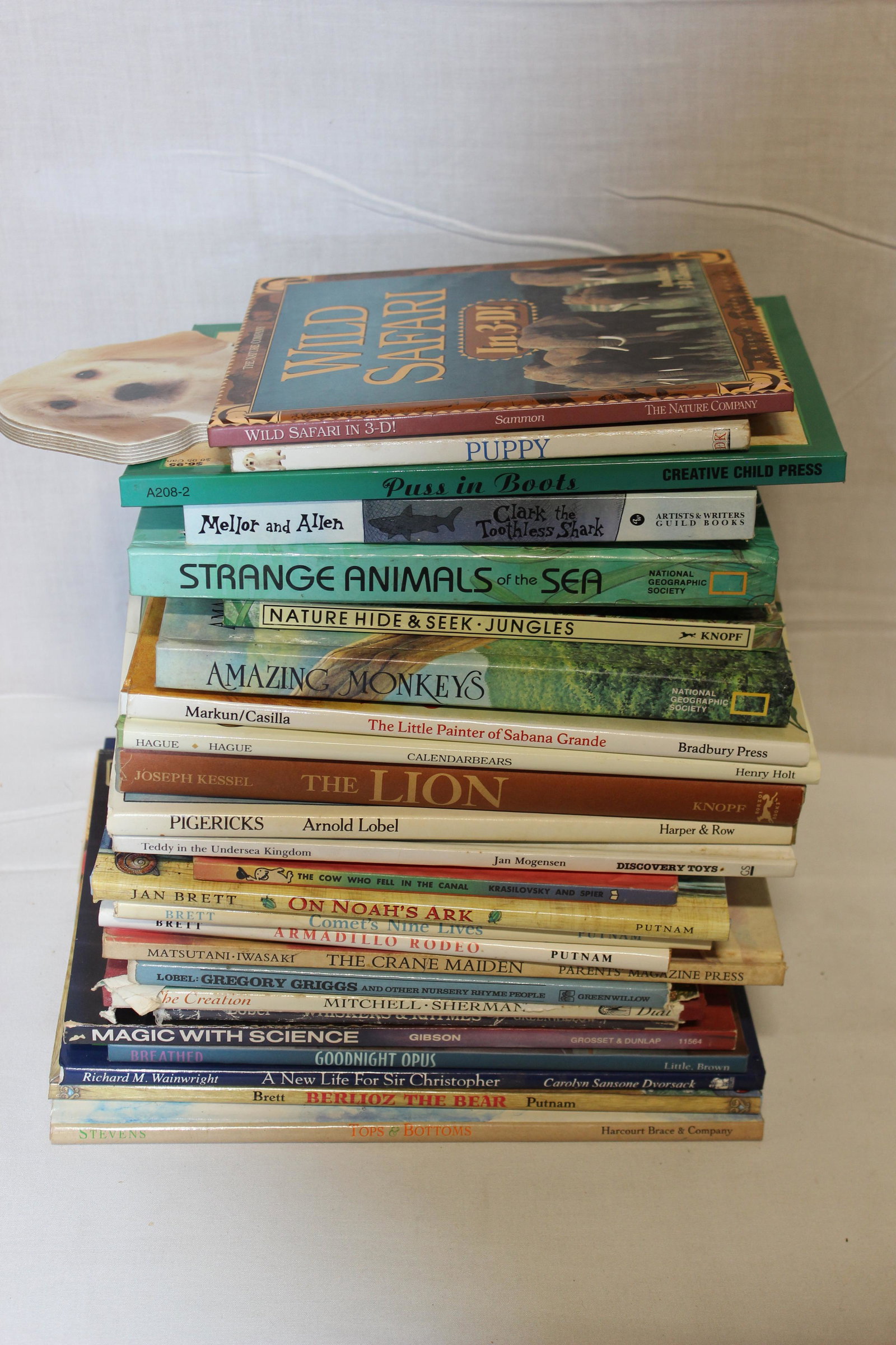 (25) CHILDRENâ€™S BOOKS WITH FIRST EDITIONS: Lot of 25 childrenâ€™s books with first editions. TOPS AND BOTTOMS by Jane Stevens 1995. BERLIOZ THE BEAR by Jan Brett 1991. ARMADILLO RODEO by Jan Brett 1995. COMETâ€™S NINE LIVES by Jan Br