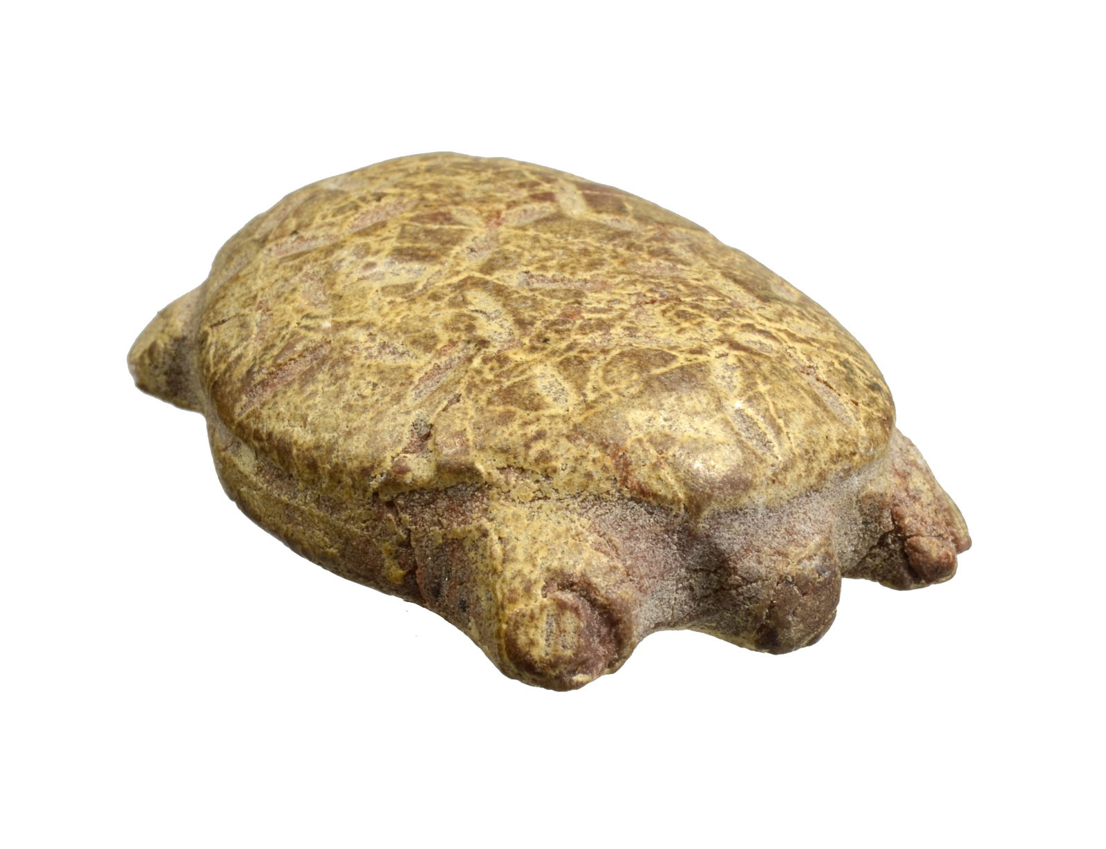 Jemdet Nasr Stone Turtle: Mesopotamia Early Dynastic Ca 3100-2900 BC.A small carved amulet in the form of a turtle, atop the carapace with defined ridges and small nub head and feet protruding. Overall surface and good deposit