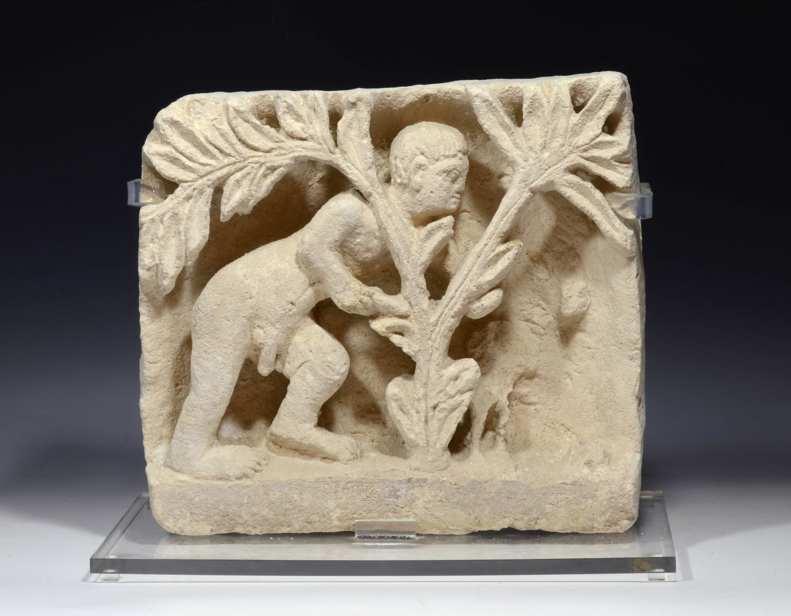 Choice Coptic Limestone Figural Relief: Choice Coptic Limestone Figural Relief . Circa 5th to 6th Century AD, High relief carved with a nude youth leaning behind a foliate branch, possibly representing Adam peering over a tree branch to Eve