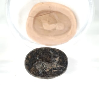 Ancient Near Eastern or Egyptian Stone Intaglio Seal with Reclining Feline