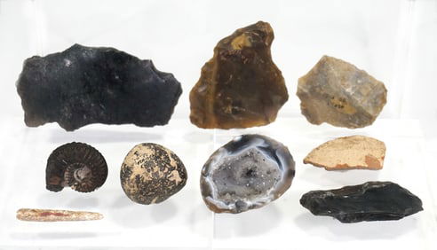 Group of Prehistoric and Natural Specimens: Stone Tools, Fossils, and Geologic Samples