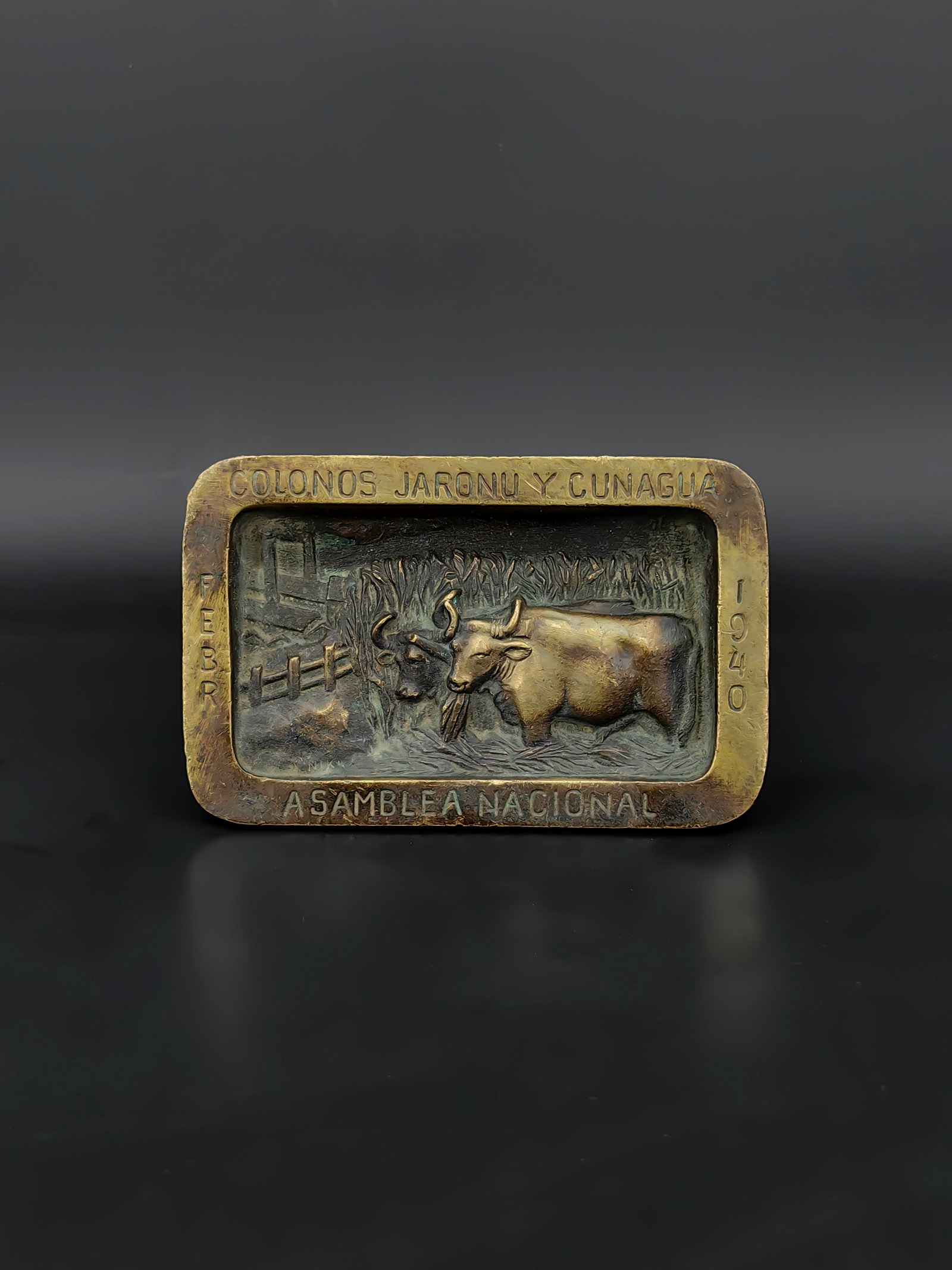A Vintage Bronze Plaque: This vintage bronze plaque features a detailed relief scene of two cattle standing in a rural landscape with a fence and vegetation. The border bears Spanish inscriptions including “COLONOS JARONU