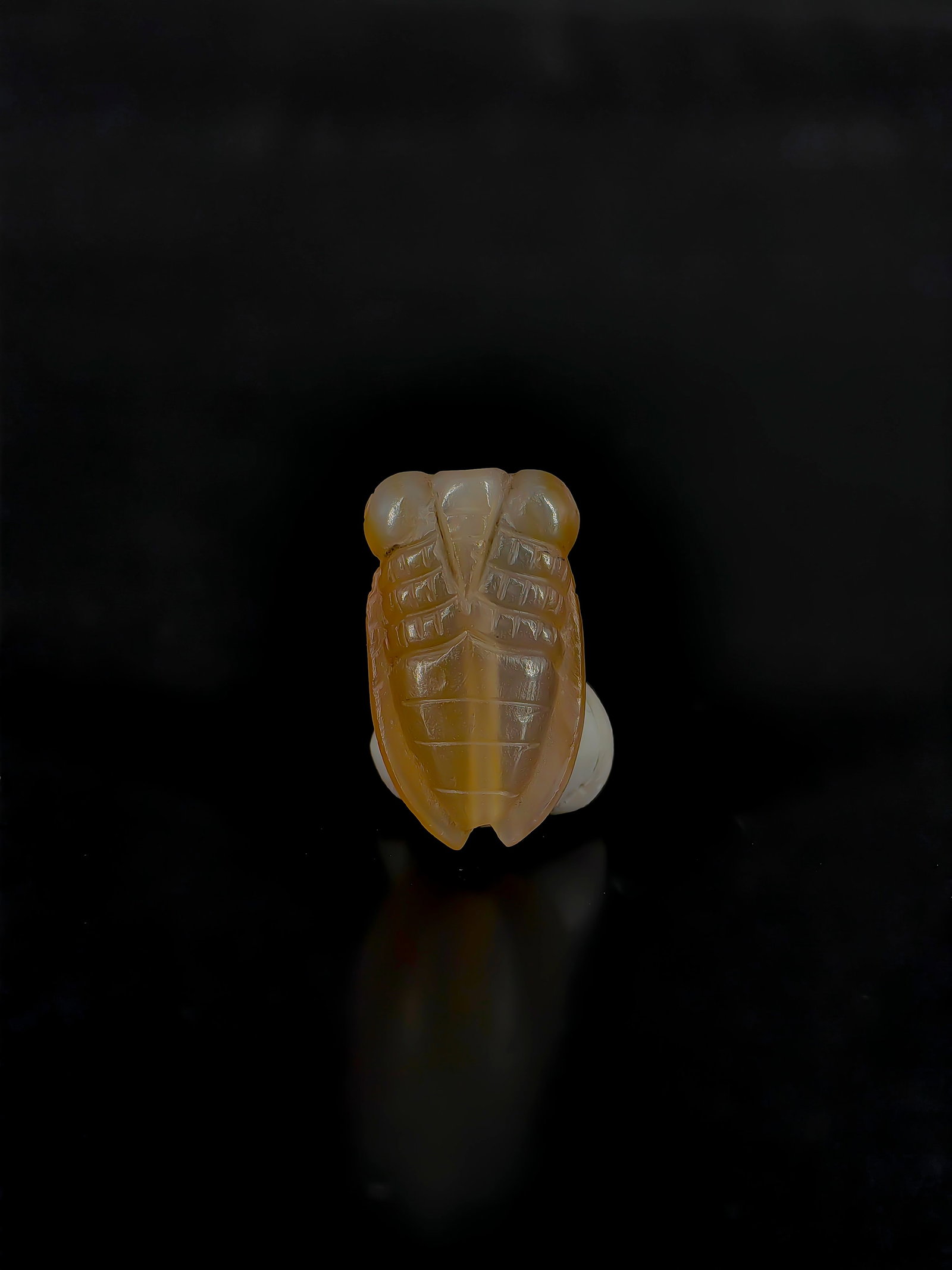 An Antique Jade Cicada Pendant (1 of 6)