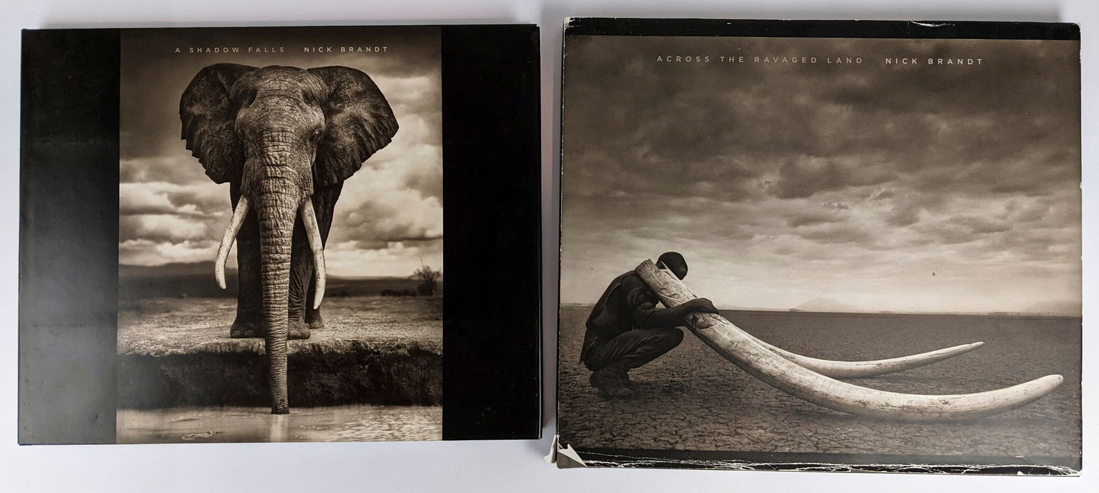 [PHOTOGRAPHY, AFRICA] Nick Brandt (1 of 4)