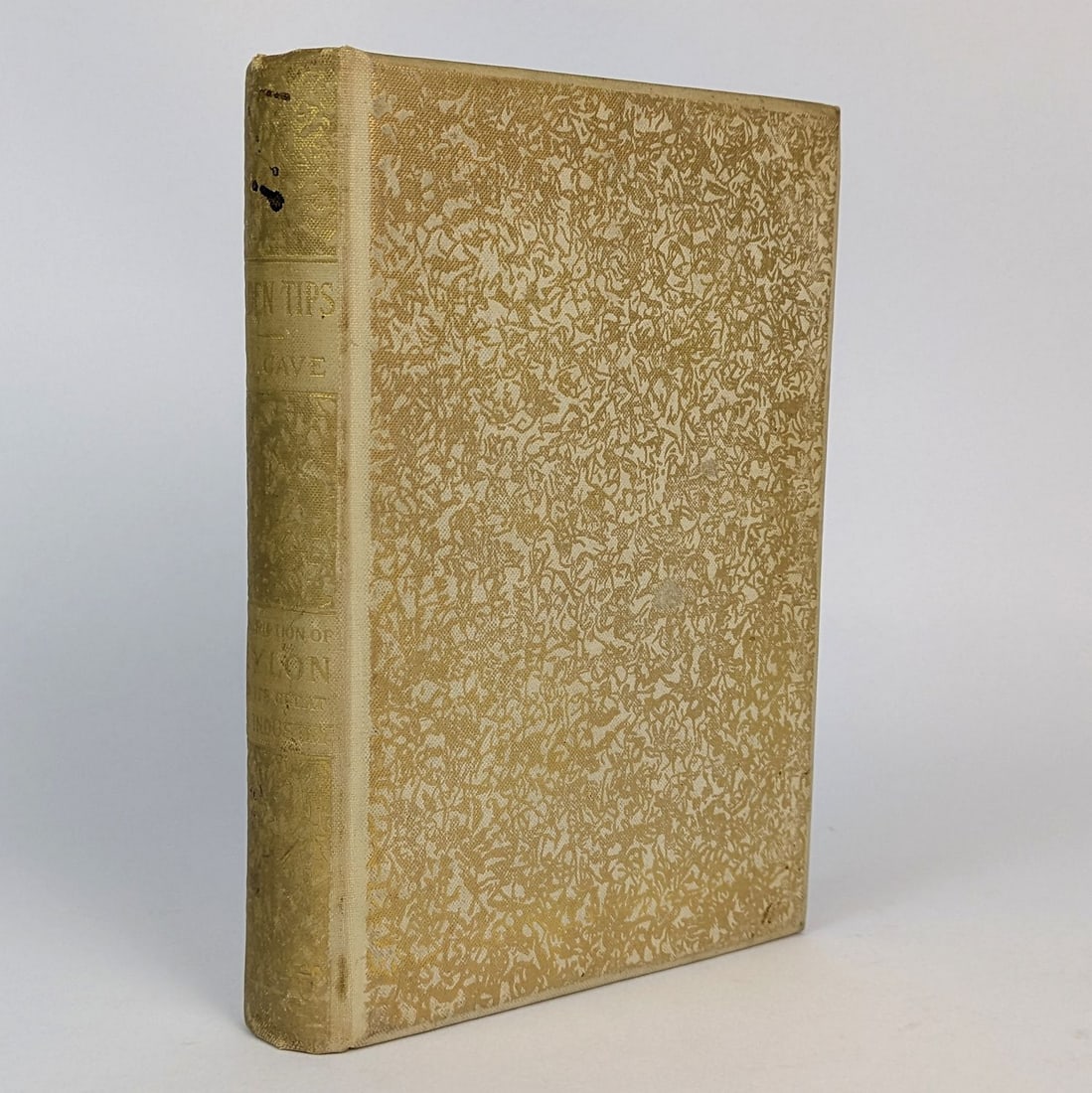 [TEA, CEYLON, GASTRONOMY] Golden Tips (1 of 2)