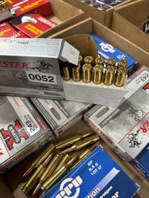 Long gun ammunition lot