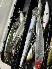 Fishing lures in cases