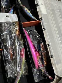Fishing lures in case plus extra case
