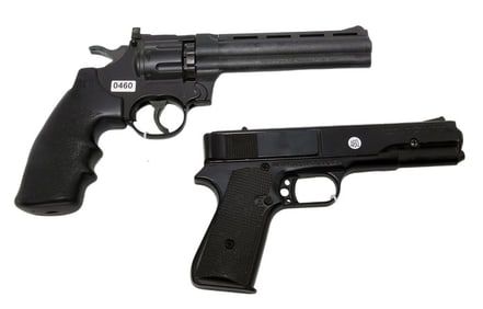 2 Crosman Airguns and 1 Daisy for 1 Money