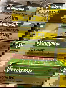 Gun cartridges in boxes